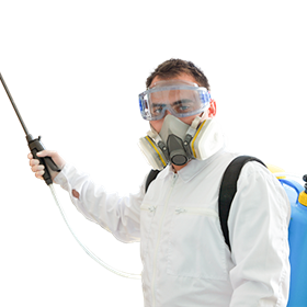 Pest Control Borehamwood: Pest Control Borehamwood